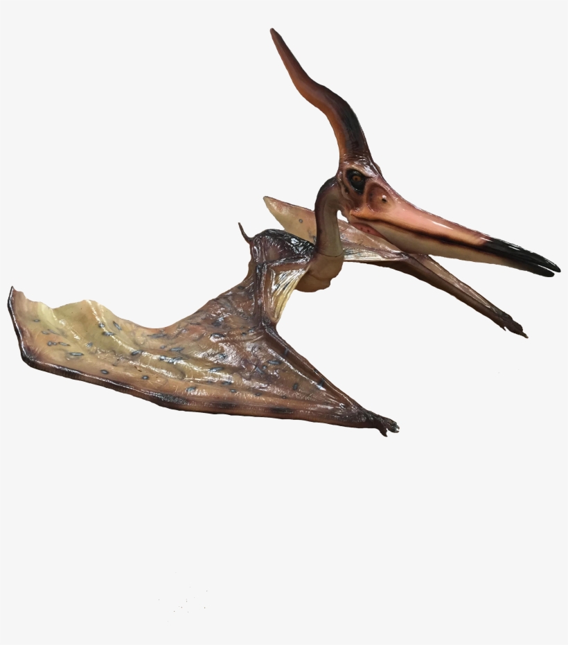 When Booking, Passengers Can Make An Optional Donation - Wood, transparent png #8197141