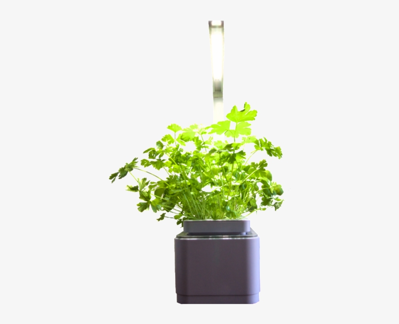 Custom Pack Smart Garden Combo - Flowerpot, transparent png #8197146