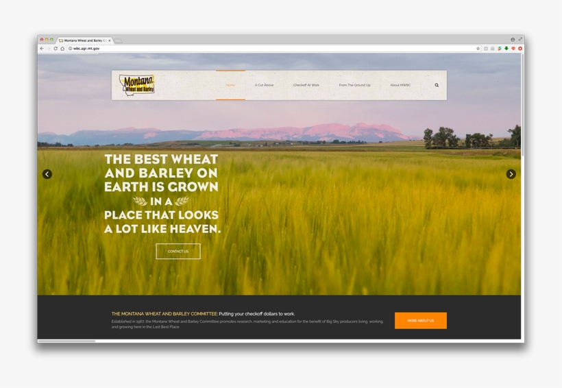 Montana Wheat And Barley Committee - Field, transparent png #8197938