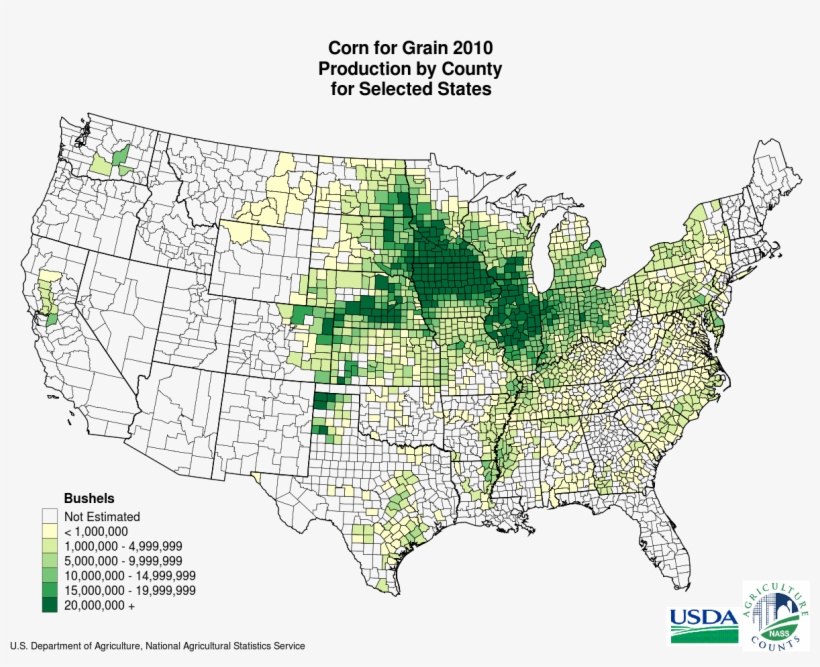 Corn Belt - United States Tomato Production Map, transparent png #8198515