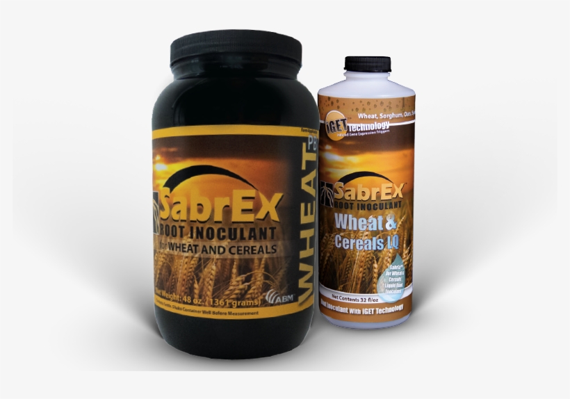 N - Fields Of Wheat, transparent png #8198679