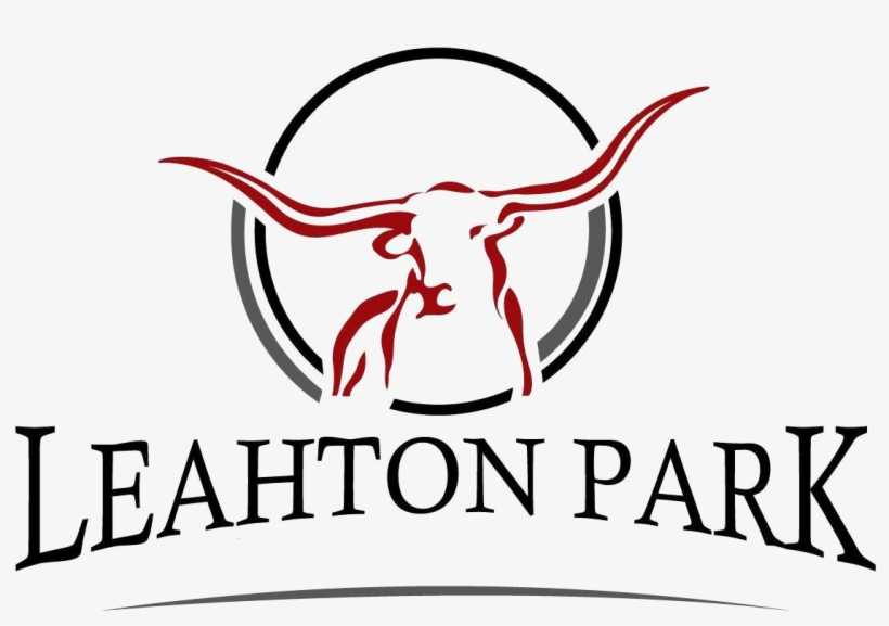 Texas Longhorns Logo Png - Texas Longhorn, transparent png #8199491