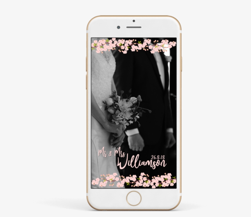 Cherry Blossom Branches, transparent png #820353