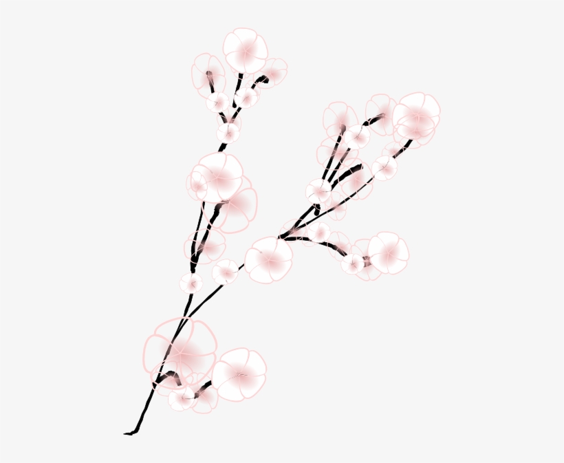 Cherry Blossom, transparent png #820455