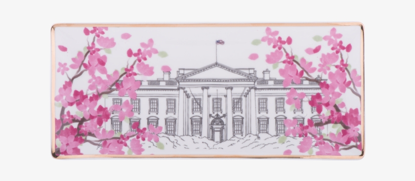 More Views - Cherry Blossom, transparent png #820512