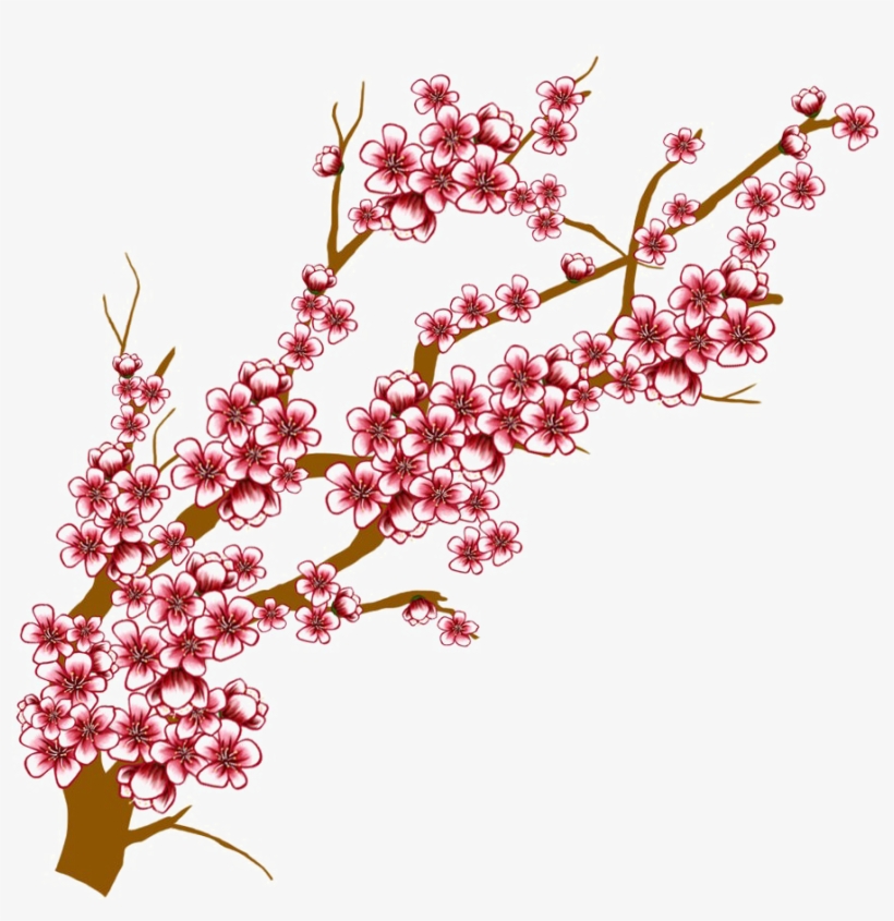 Japanese Flowering Cherry Transparent Background - Cherry Blossoms Branch Drawing, transparent png #820630