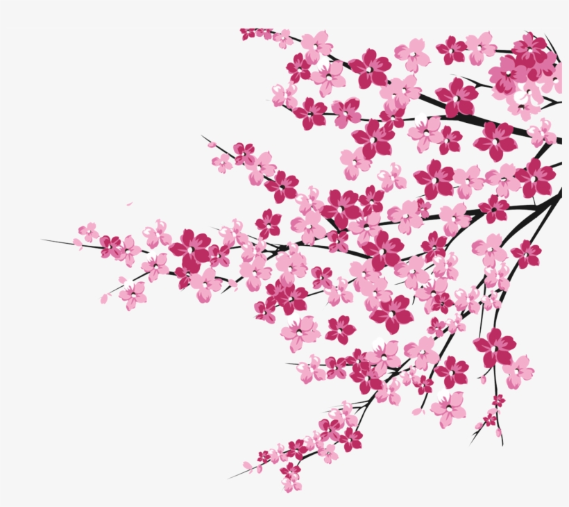 Cherry Blossom Tree Branch Png - Flores De Cerezo Png, transparent png #820728