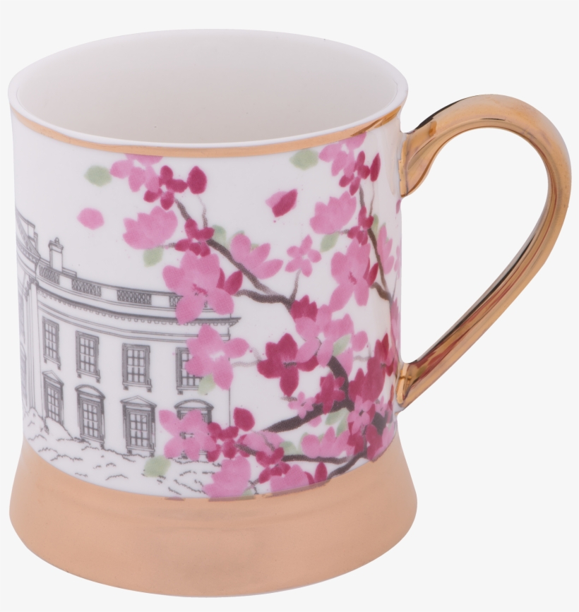 More Views - Cherry Blossom, transparent png #820771