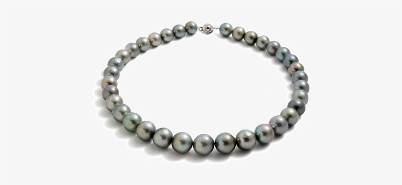 Tahitian String 11-13 - Necklace, transparent png #820883