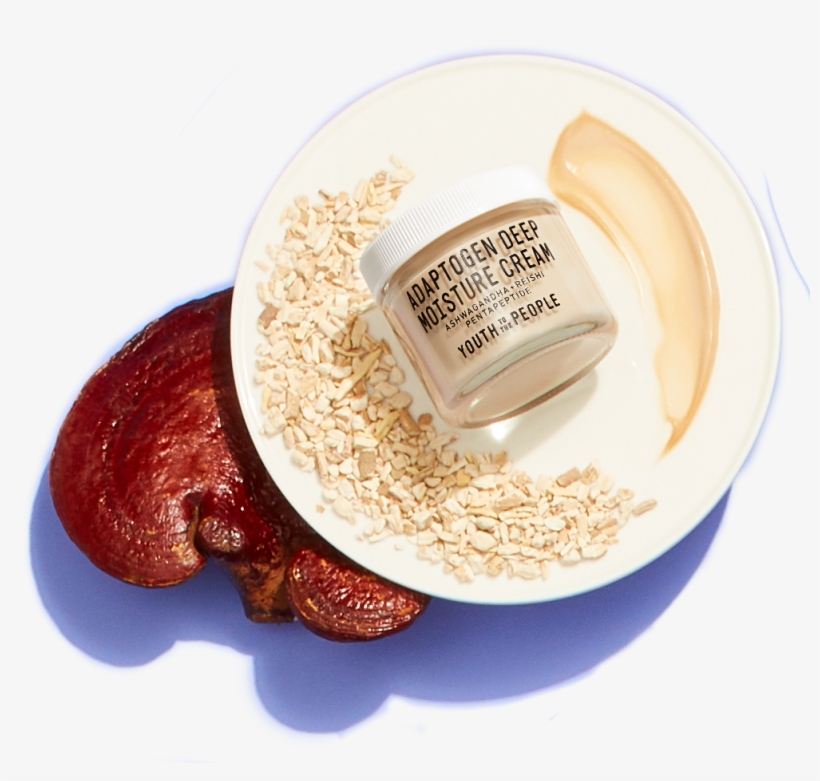 $62 - Nut, transparent png #821534