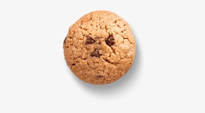 Oat And Chocolate Biscuits - Delizias Avena Con Chocolate Bio-darma, 125 G, transparent png #821579