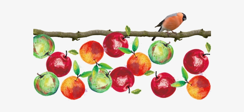 Orange Juice Poster 15x15cm, transparent png #821726