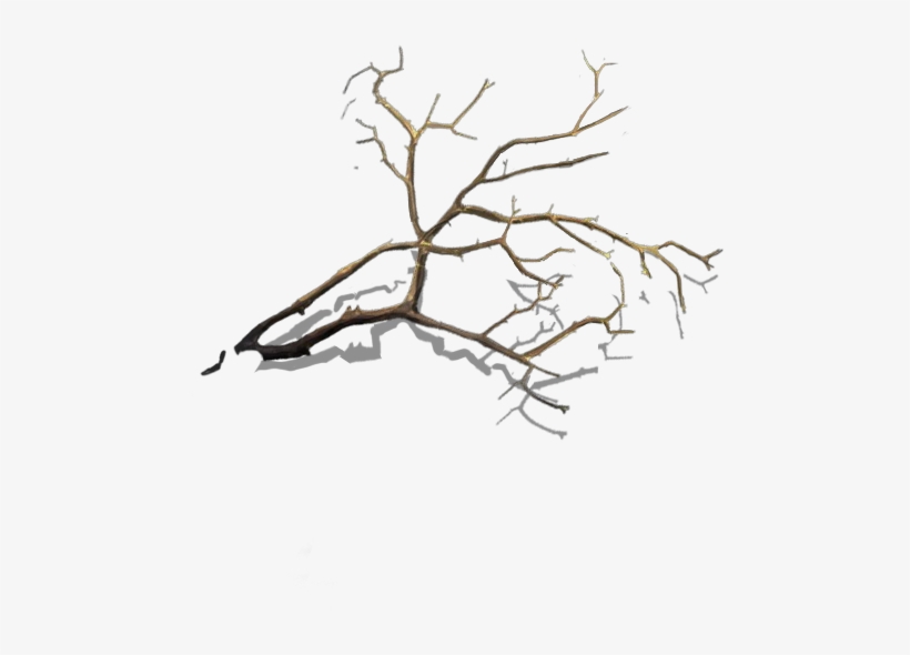Ho Broken Bridge Branch-icon - Twig Branch, transparent png #822190