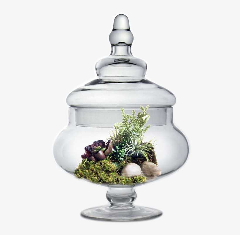 Glass Apothecary Jar H-10" Body - D & W Silks Easter Grass, Echeveria, transparent png #822262