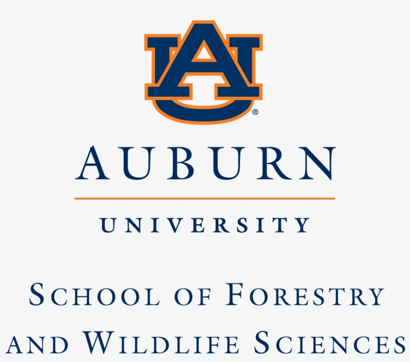 Auburn University School Of Forestry & - Collegiate Desk Pad, Auburn University Tigers, Blue/orange,, transparent png #824090