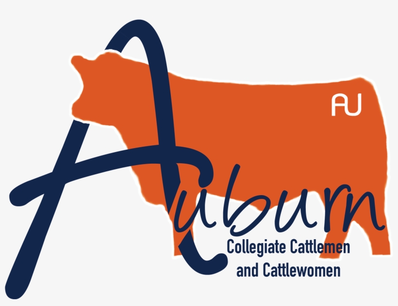 Auburn University, transparent png #824306