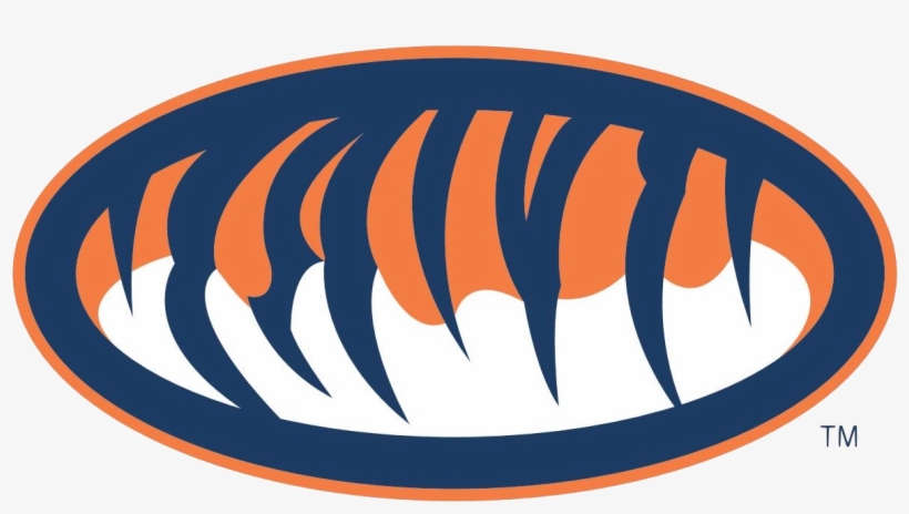 Sponsored Links - Auburn Tigers, transparent png #824524