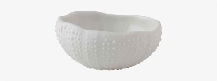 Bowl Mini Sea Urchin 5 X 5 Cm H - Centimetre, transparent png #826004