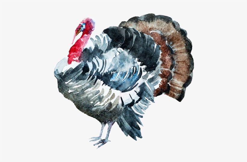 Watercolor Painting, transparent png #826718