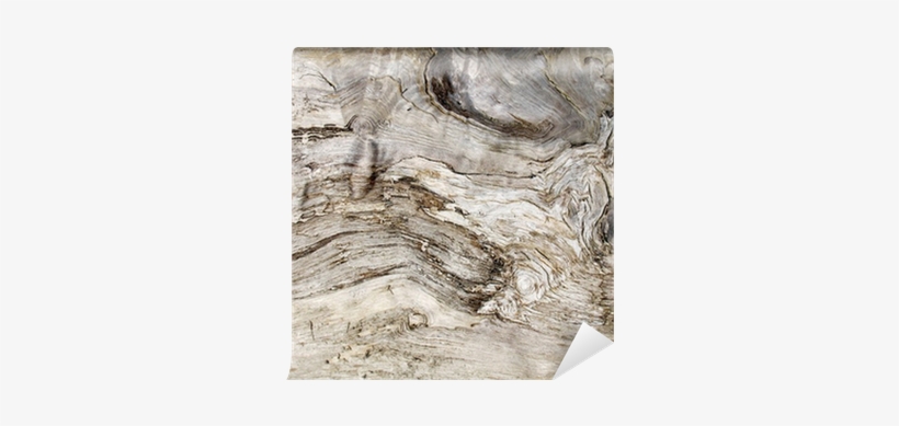 Graphic Transparent Drawing Wood Old - Stock Photography, transparent png #826813