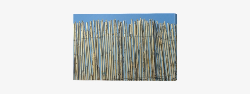 Old Cane Fence Texture Over Blue Sky Canvas Print • - Wood, transparent png #826831