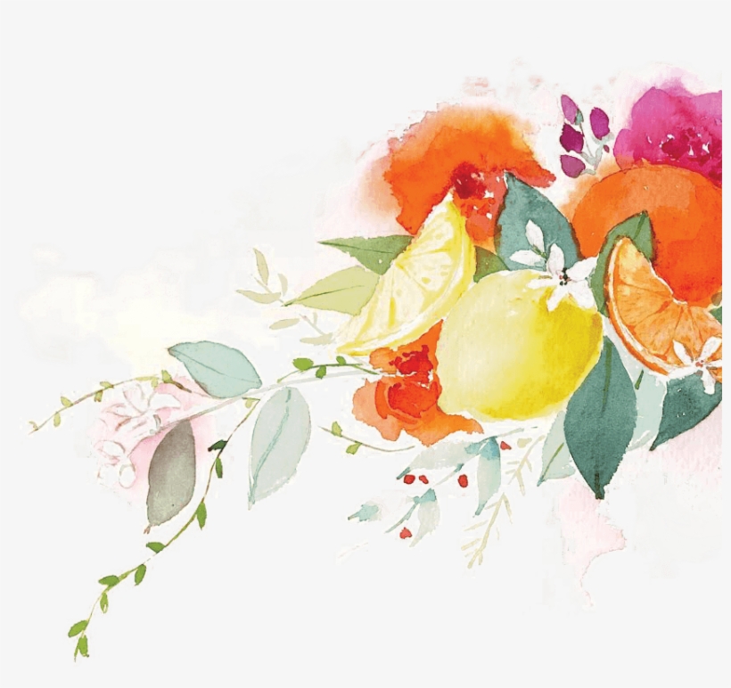 Citrus Illustration Sketch Rose Illustration - Illustration, transparent png #826835