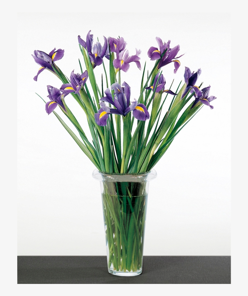Blue Iris Loosely Arranged - Blue, transparent png #827204