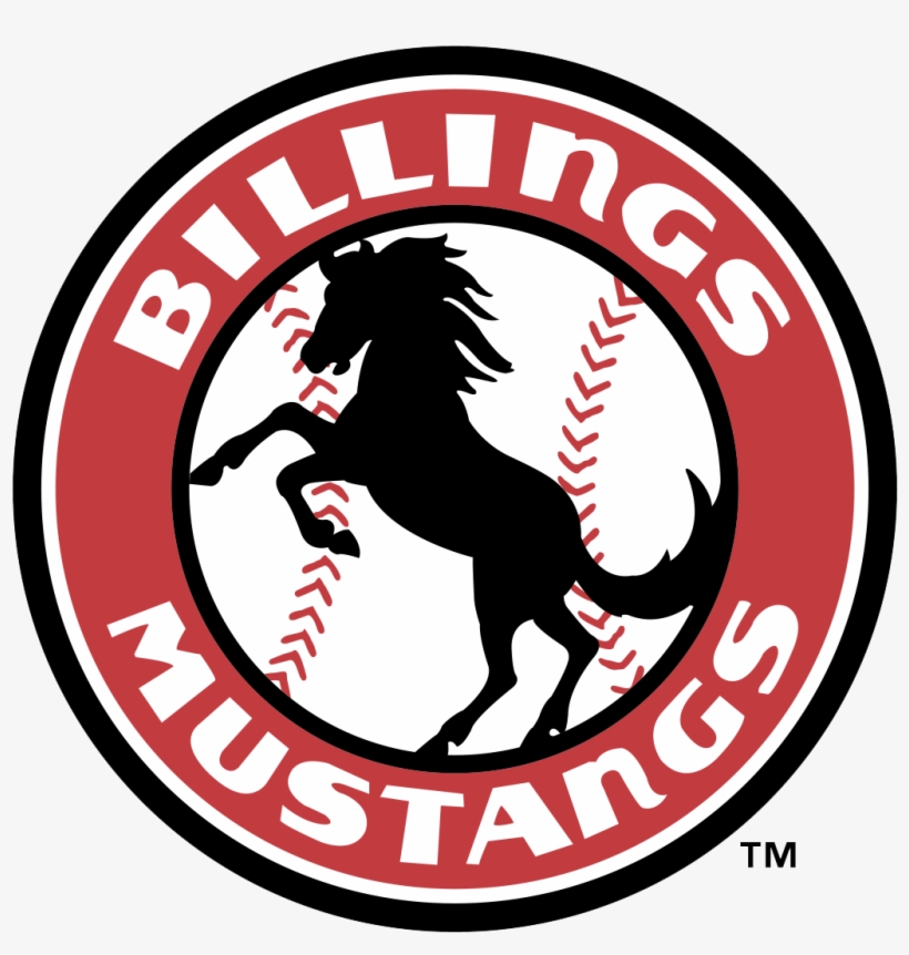The Billing Mustangs Affiliation With The Cincinnati - Billings Mustangs, transparent png #827752