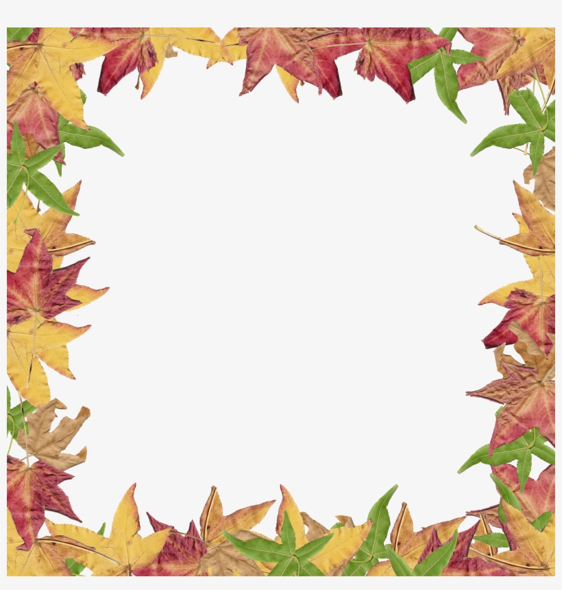 Free Clipart Fall Leaves At Getdrawings - Creative Border For Project, transparent png #827754