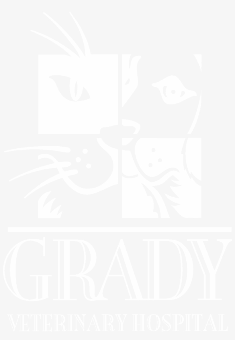 Cincinnati Veterinarian Dr - Grady Veterinary Hospital, transparent png #827901