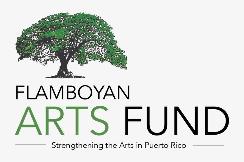 Ten Months After Hurricane Maria's Devastation In Puerto - Flamboyan, transparent png #827922