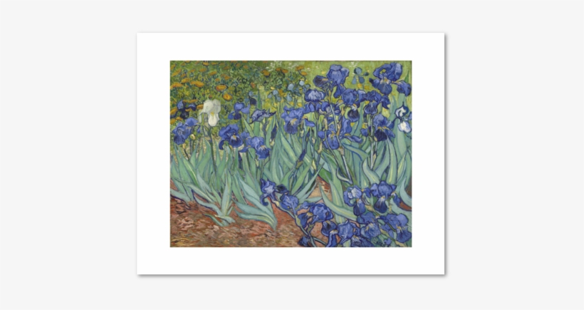 267 × 240 Pixels - Vincent Van Gogh Paintings, transparent png #827983