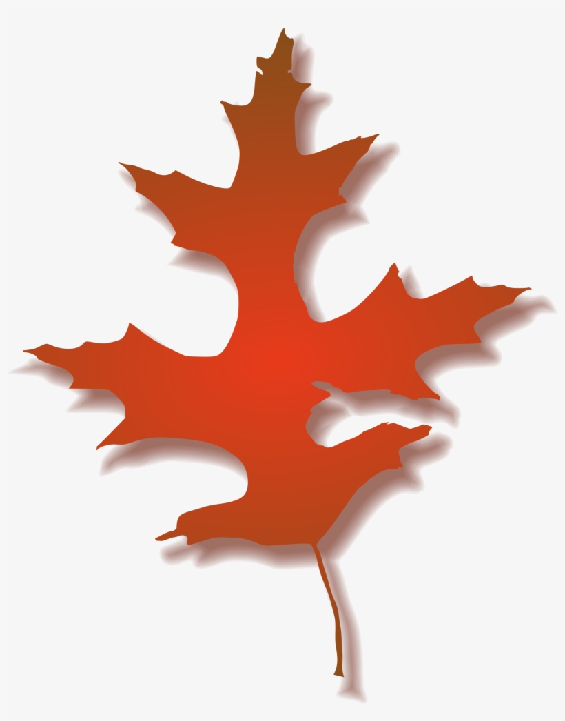 Leaf Autumn Big Image Png - Fall Oak Leaf Clipart, transparent png #828049