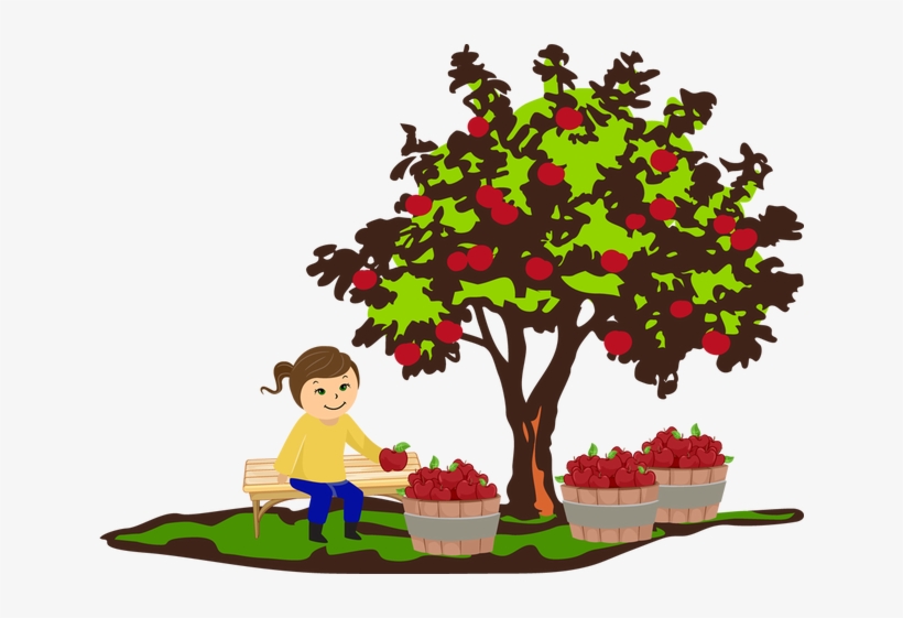 apple tree clipart