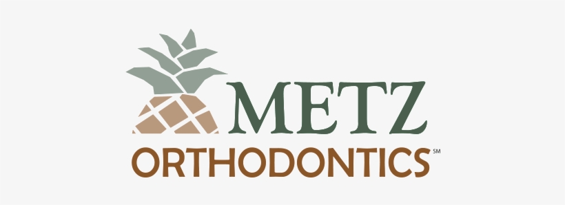 About Our Logo - Pineapple, transparent png #828478