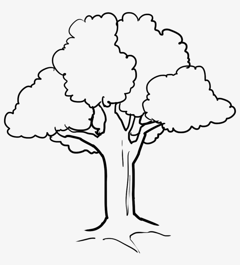 Fall Tree Drawing At Getdrawings - Cute Tree Coloring Pages, transparent png #828479