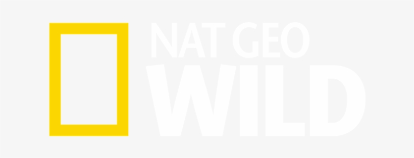 National Geographic Strives To Offer Intelligent, Relevant - National Geographic, transparent png #828752