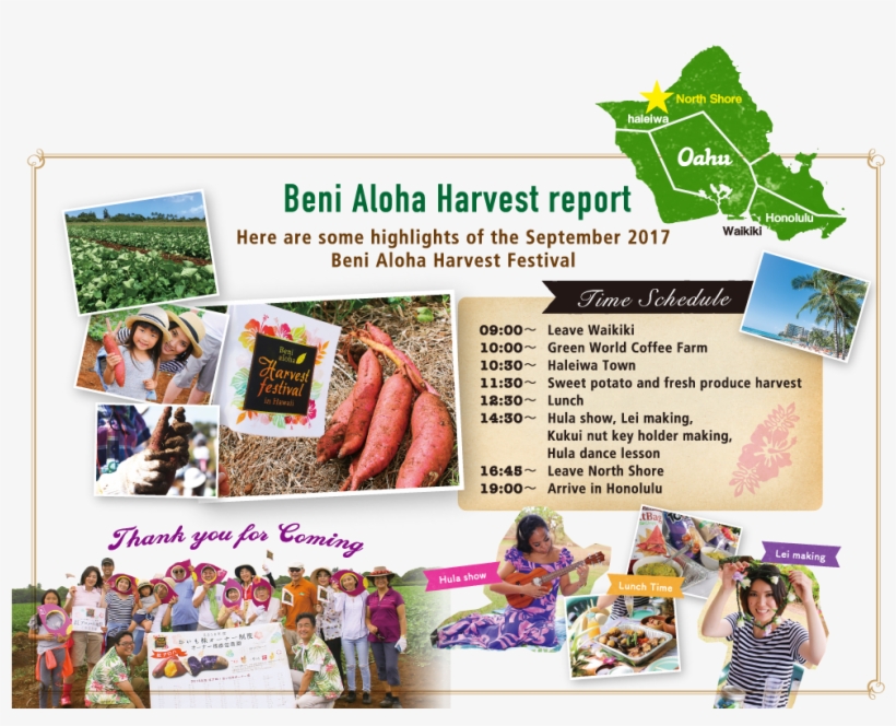 Beni Aloha Harvest Report - Flyer, transparent png #8200403