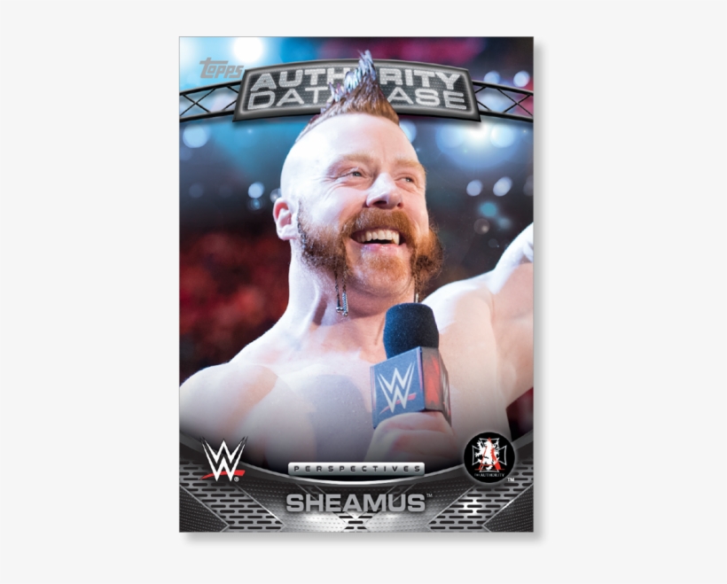 Gallery - Wwe 2k14, transparent png #8200471