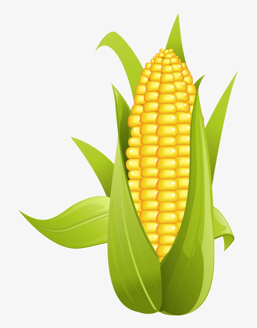 Corn On The Cob Sweet Clip Art - Corn Png, transparent png #8200497