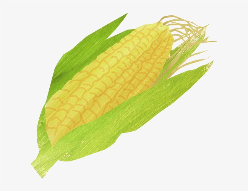 Corn And Bean Salad - Corn On The Cob, transparent png #8200694