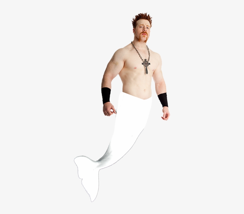 Sheamus O'thedeep - Sheamus Wwe, transparent png #8201180