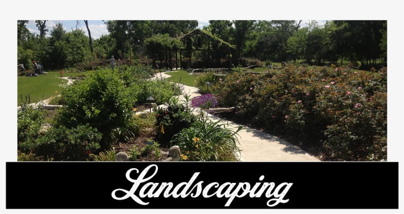 Landscapign, Residential Landscaping, Commercial Landscaping - Botanical Garden, transparent png #8201791
