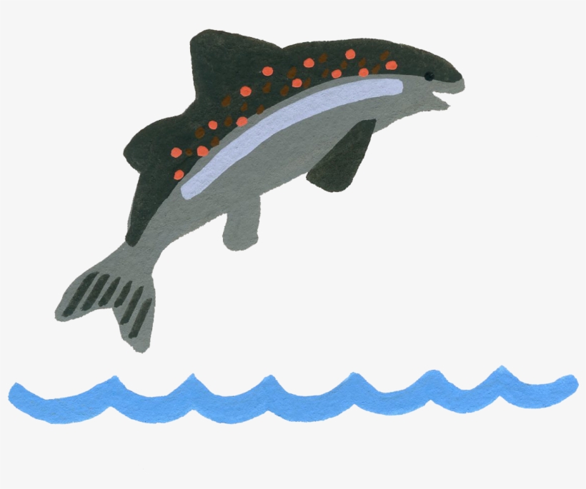 2017 - - Humpback Whale, transparent png #8203703