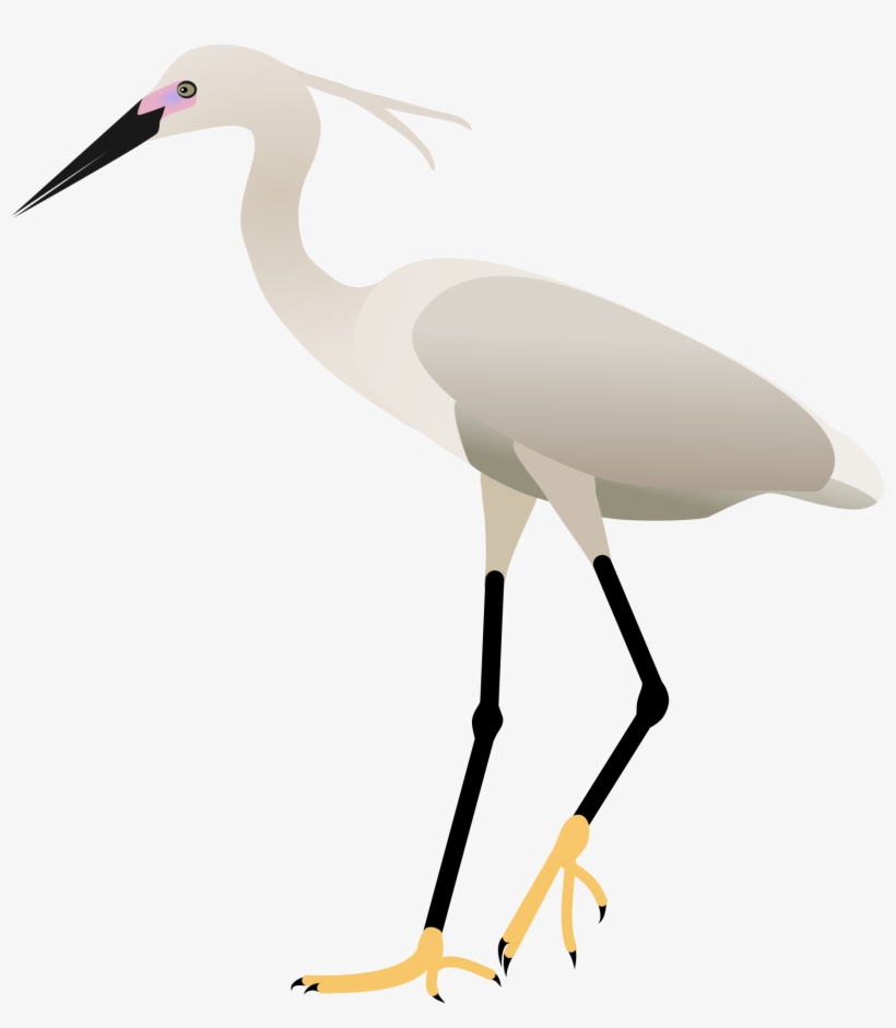 2000 X 2121 3 - Egret Png, transparent png #8203852