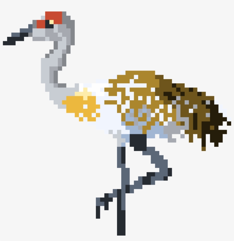 Sandhill Crane - Seabird, transparent png #8203890