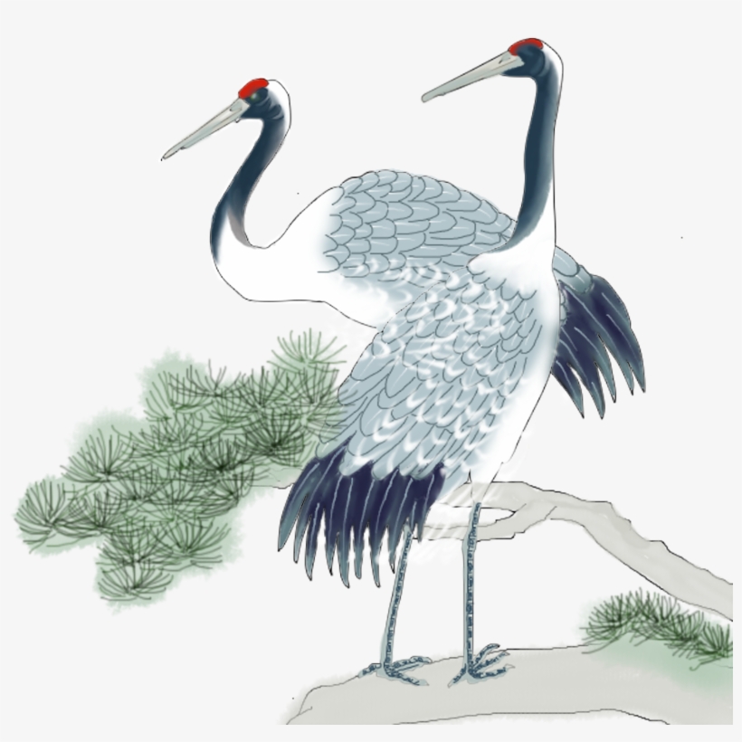 長壽 代表, transparent png #8204374