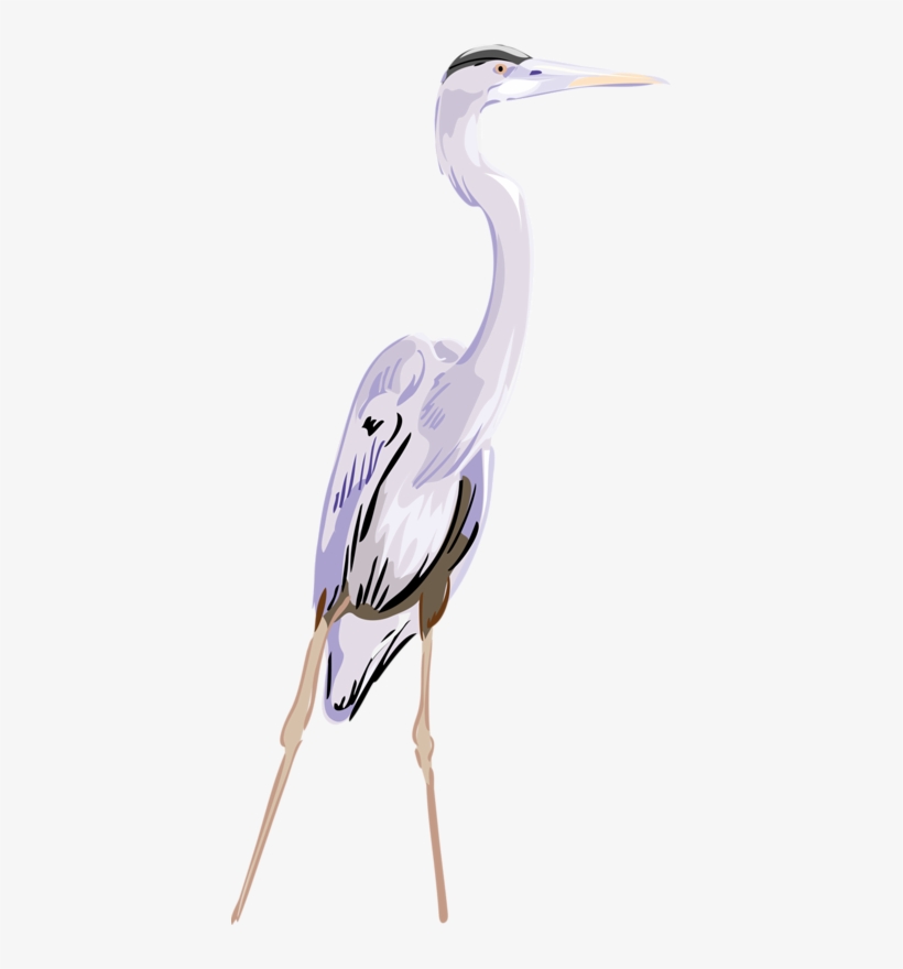 Crane Clipart Blue Crane - Great Egret, transparent png #8204544