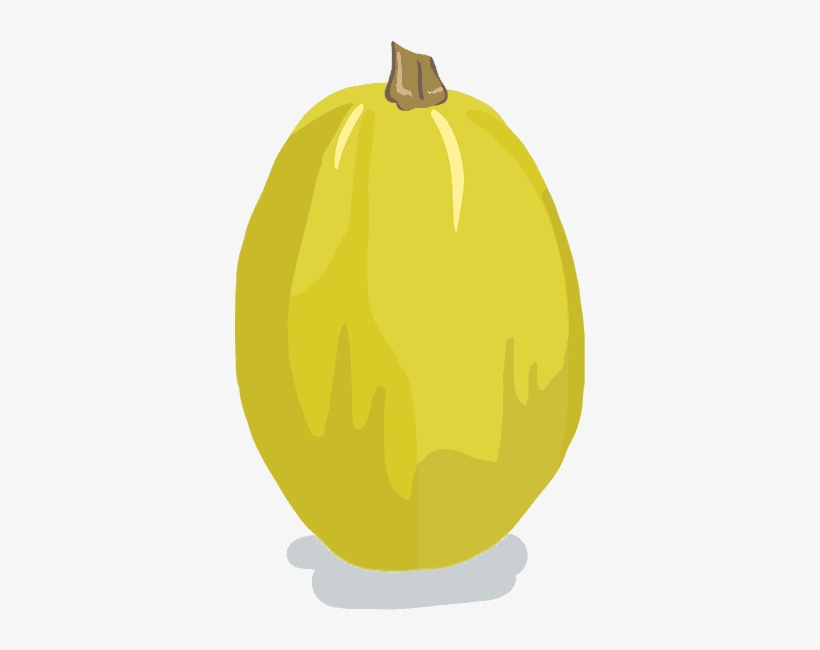 Potimarron - Spaghetti - Courgette Spaghetti Dessin, transparent png #8205934