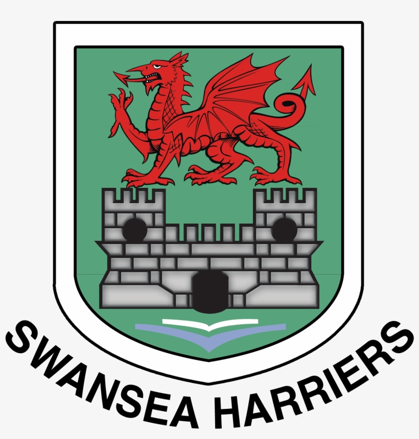 Swansea Harriers Open Meeting - Bachelorette Party, transparent png #8206511